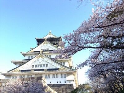 ママ目線で選んだ子ども連れで行きたい大阪の花見スポット 18年3月21日 ウーマンエキサイト 1 2