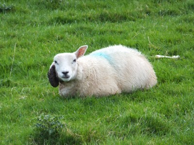 子どもと一緒に楽しめる春イベント！外国式イースターの過ごし方を紹介