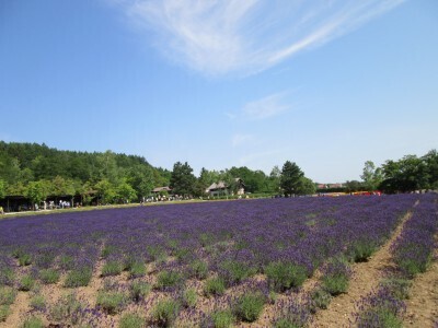 北海道民が教える！子どもと旅する、夏におすすめのエリアベスト３