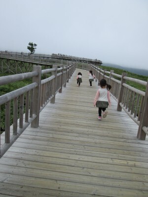 北海道民が教える！子どもと旅する、夏におすすめのエリアベスト３
