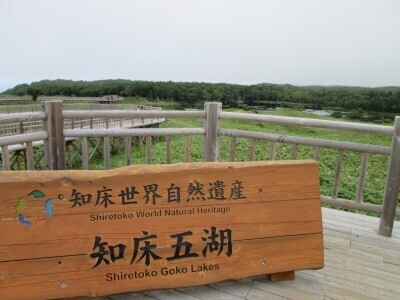 北海道民が教える！子どもと旅する、夏におすすめのエリアベスト３