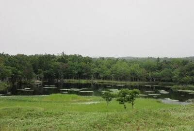 北海道民が教える！子どもと旅する、夏におすすめのエリアベスト３