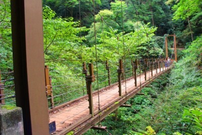 子どもと行きたい「高尾山」おすすめのルートやみどころは？