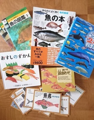 きっかけはハリセンボン!?子どもの“好き”から広がった学びの世界