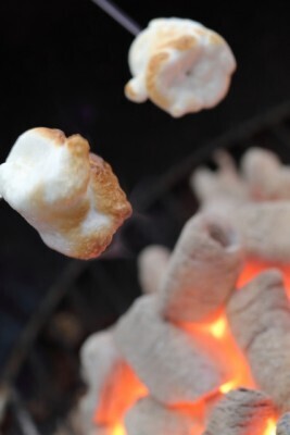 初心者でも安心！子連れデイキャンプのマストアイテム10選