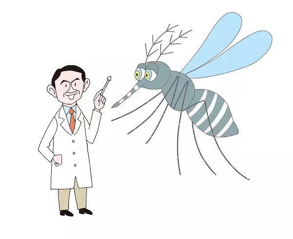 蚊が発生しやすい場所は？夏の天敵・蚊を 徹底解剖