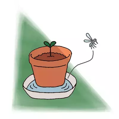 蚊が発生しやすい場所は？夏の天敵・蚊を 徹底解剖