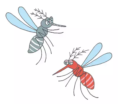 蚊が発生しやすい場所は？夏の天敵・蚊を 徹底解剖