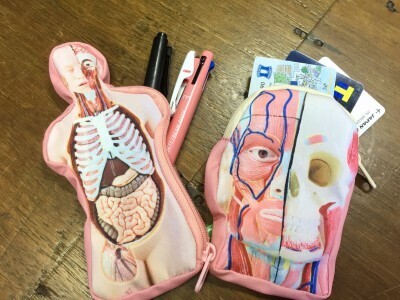話題のカプセルトイ「人体解剖模型ポーチ」は子どもが学べる＆大人もハマる！
