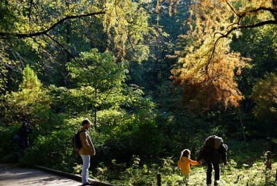 子どもと行きたいオススメのウオーキング大会