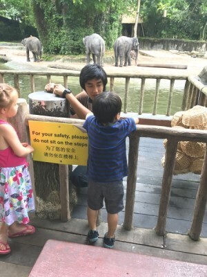 2年間でママより上達！4歳の息子の英語習得法とは