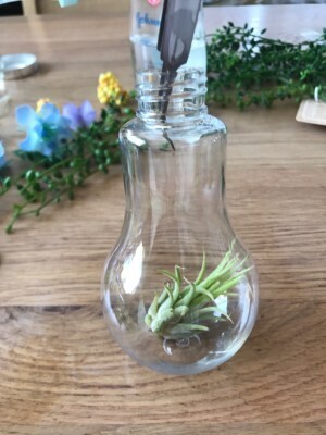 100均の造花と容器で人気のハーバリウムを作ってみた