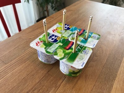 見栄えよし！4パックヨーグルトがヘルシーなアイスに変身