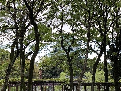 初めての自転車、まずはレンタサイクルで試してみた