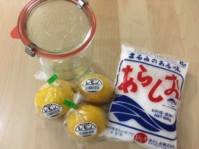 securedownload塩レモン材料
