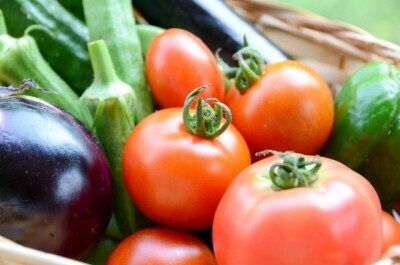 苦手なトマト・オクラ・ナス…子どもも食べられる！克服レシピ