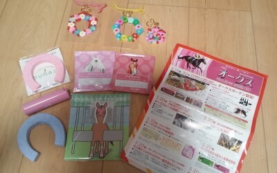 競馬だけじゃない！家族でめいっぱい楽しめる「東京競馬場」