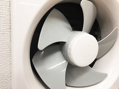 ゴキブリの侵入経路はココだった！家に入れないための対策は