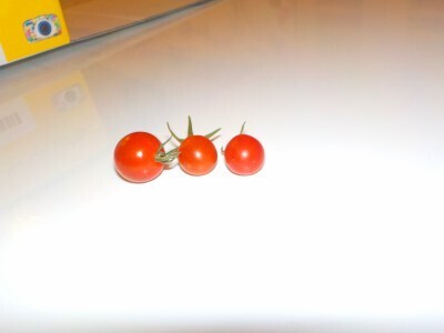 なんでソレ撮ったの!?デジカメ目線で分かった3歳男子の関心ゴト