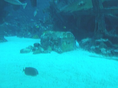 なんでソレ撮ったの!?デジカメ目線で分かった3歳男子の関心ゴト