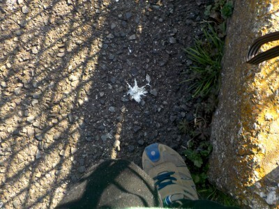 なんでソレ撮ったの!?デジカメ目線で分かった3歳男子の関心ゴト