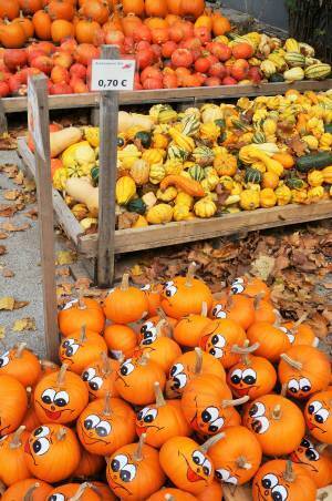 アレルギーっ子にも屋台体験を！注目の『みんなの屋台』プロジェクト