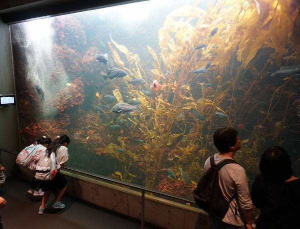 【親子観劇】ごみを捨てないで！世界中が称賛したハワイ発ミュージカル