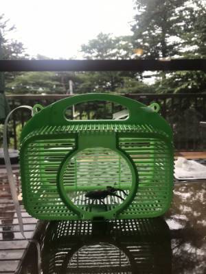 子連れ旅こそAirbnbがオススメ！メリット・デメリットは？