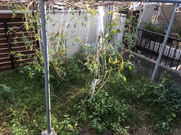 1歳児が庭掃除!?パパの手伝いで意外な発見が！