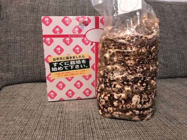 「自分で育てると喜んで食べる」は本当？シイタケ嫌いの息子で検証したら