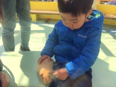 【入場無料】行って正解！動物とふれあえる子連れおすすめ都内3選