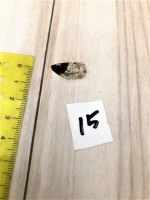 おもちゃで傷だらけになったフローリングを補修！費用と成果をレポート！