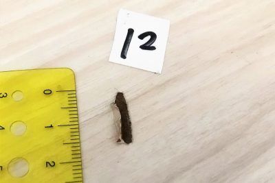 おもちゃで傷だらけになったフローリングを補修 費用と成果をレポート 19年3月5日 ウーマンエキサイト 1 2 おもちゃで傷だらけになったフローリングを補修 費用と成果をレポート 19年3月5日 ウーマンエキサイト 1 2