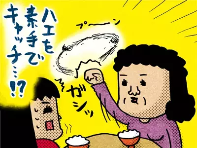 パパッとおせち12品、素手でハエを!?やっぱり勝てない「さすがです！お義母さま」エピソード