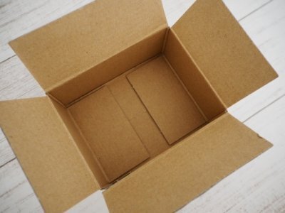 暖かくなる今が肝心！ゴキブリに巣を作らせないポイント4つ