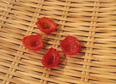 ピーマン、ニンジン、トマト嫌いを克服！子どもを野菜好きに変えたある方法