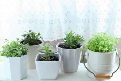 リビング学習がはかどるポイントは壁位置・明かり・緑