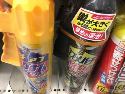 家の中にハチが侵入して2日間格闘！対処はどうしたらいいの？