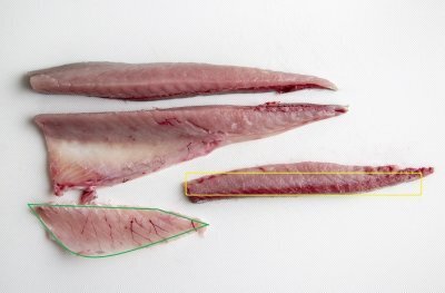 子どもが魚好きになる!?ちょっとの工夫とコツでパクパク完食レシピ