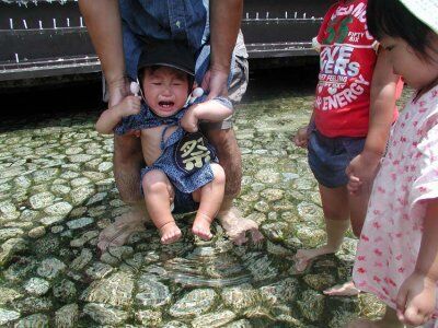 【世界遺産】京都の風物詩・足つけ神事は親子で池に入れちゃう