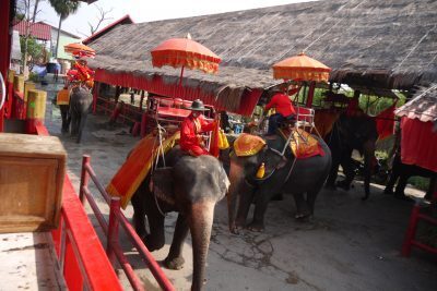 わが子がバンコクに魅了された理由はやさしさと乗り物！