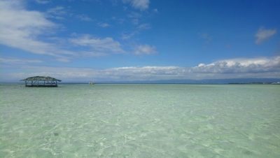 セブ島で子どもが「帰りたくない！」と大満足のスポット3選