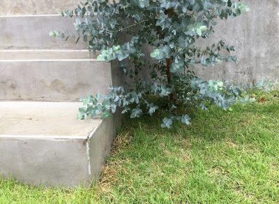 置きっぱなしのオモチャが蚊の温床!?効果的な対策は