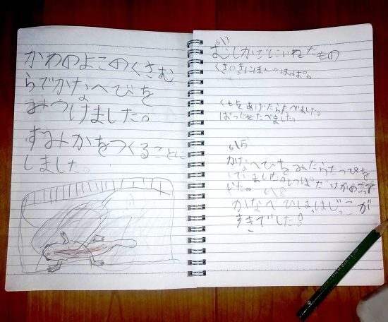 【小1の自由研究】身近な生き物の観察記録にチャンレンジしてみた