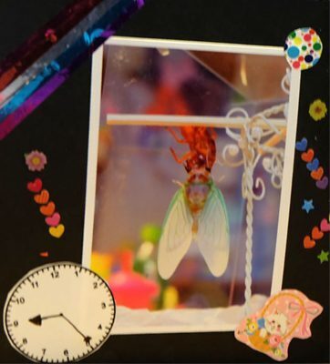 自由研究これに決めた！1日で終わるアレの観察記録