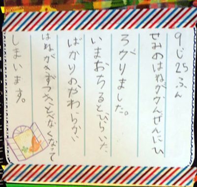 自由研究これに決めた！1日で終わるアレの観察記録