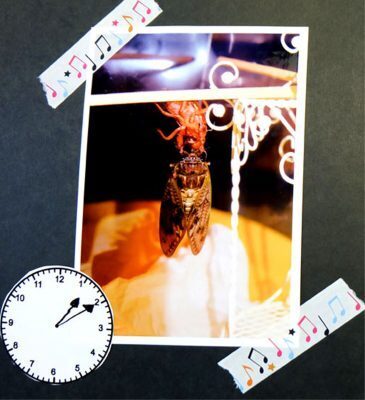 自由研究これに決めた！1日で終わるアレの観察記録