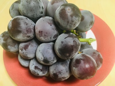 薄っすらついている白い粉が大事な目安！失敗しないブドウの見分け方