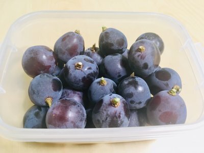 薄っすらついている白い粉が大事な目安！失敗しないブドウの見分け方