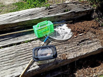 梨・ブドウ狩りに！持参してよかった神アイテム